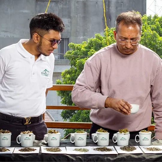 About Himalayan Forest Tea | Discover the Magic